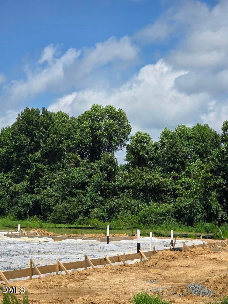 Margot Manor Lot 100 (2) - 297 Margot Manor Drive, Benson, NC 27504