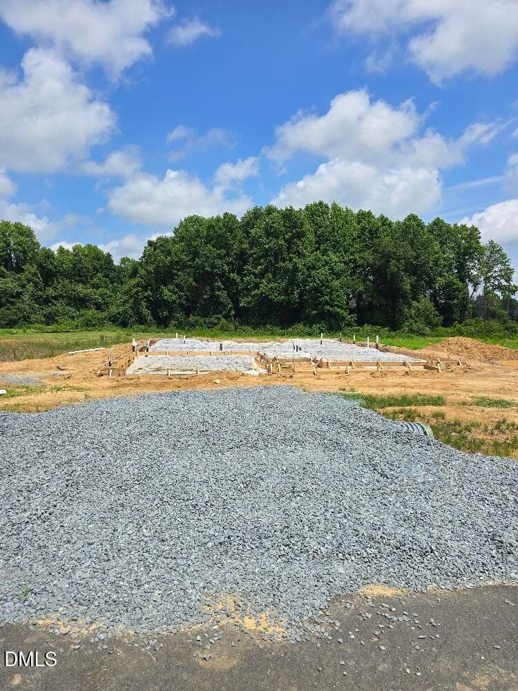Margot Manor Lot 100 (3) - 297 Margot Manor Drive, Benson, NC 27504