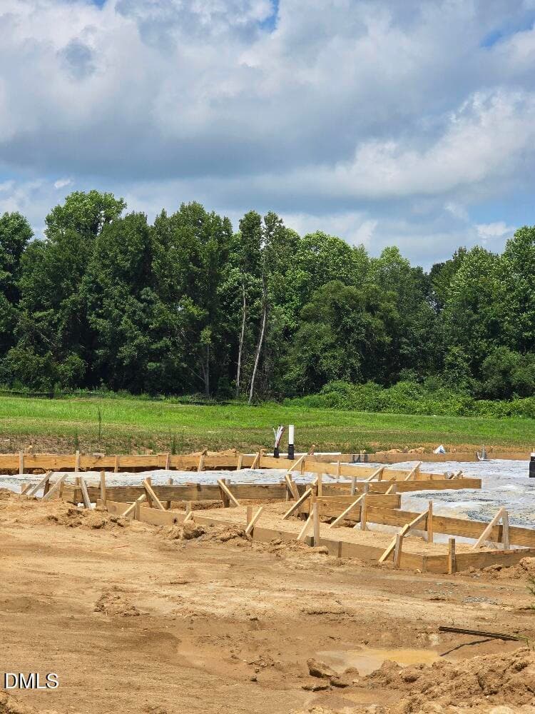 Margot Manor Lot 100 (4) - 297 Margot Manor Drive, Benson, NC 27504