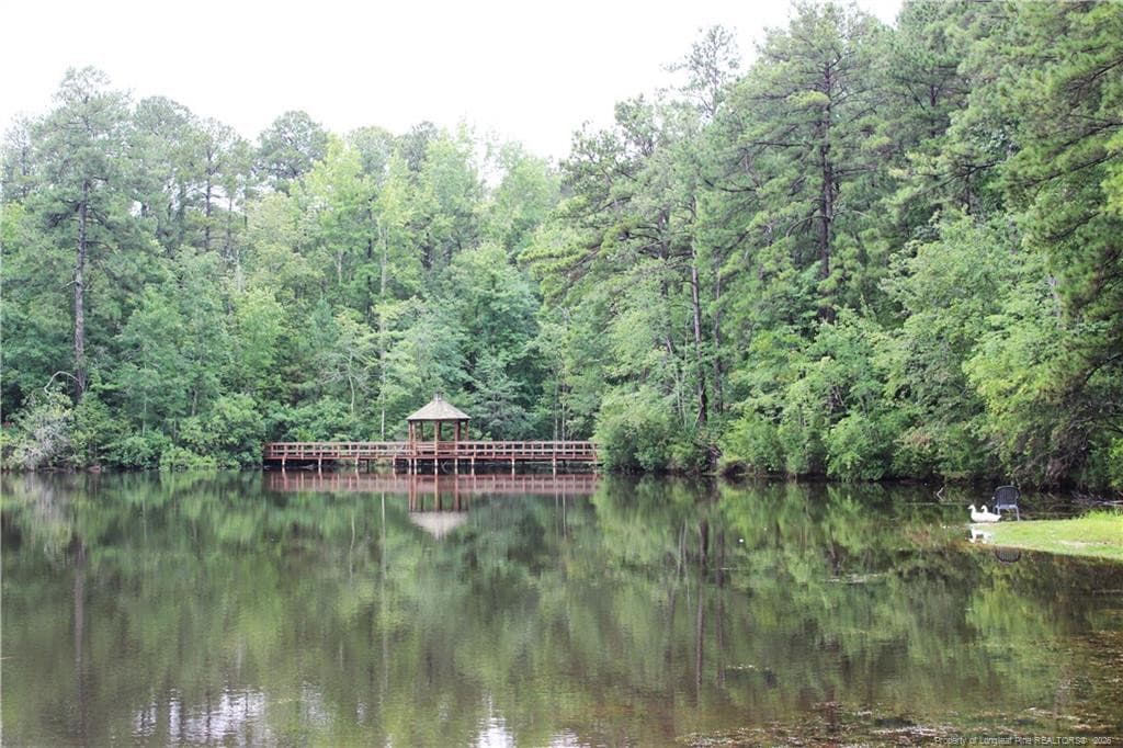 Photo 18 - 105 Shining Water Lane, Spring Lake, NC 28390