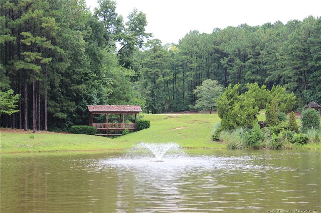Photo 33 - 105 Shining Water Lane, Spring Lake, NC 28390