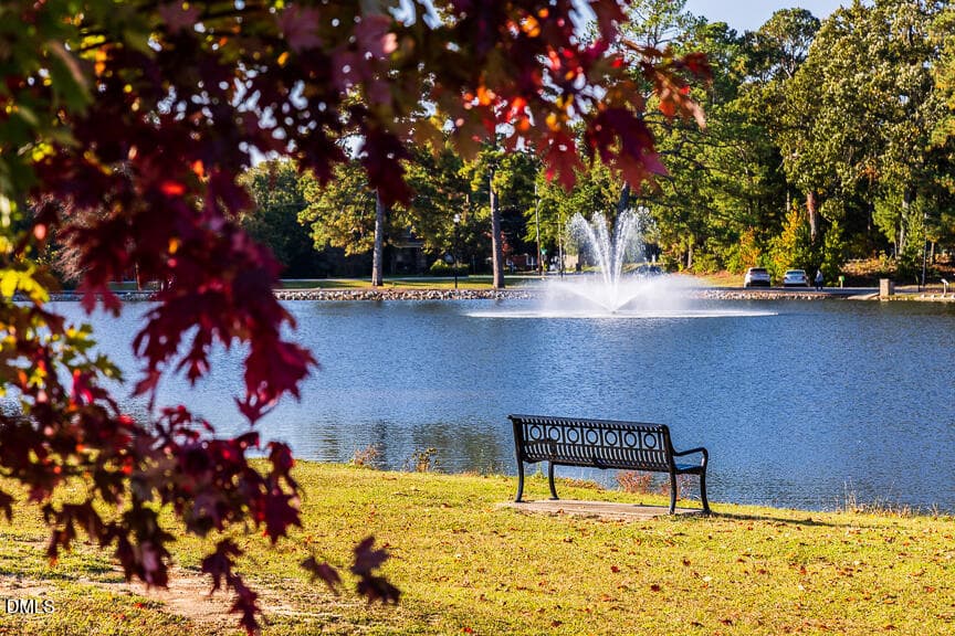 Nearby Area - 290 Blue Butterfly Drive, Angier, NC 27501