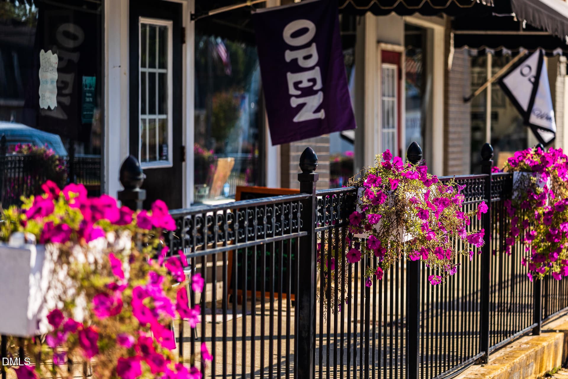 Nearby Area - 290 Blue Butterfly Drive, Angier, NC 27501