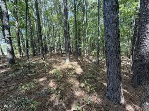 image (2) - 3 Whittington Road, Angier, NC 27501