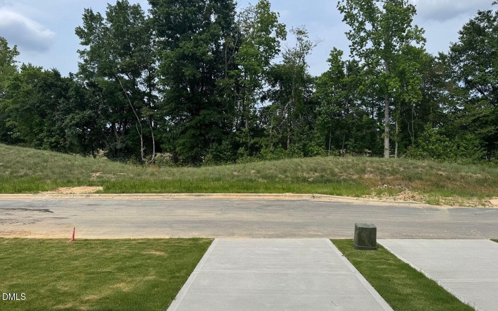 Morgan_2570_Rear View - 2440 Whitewing Lane, Wendell, NC 27591