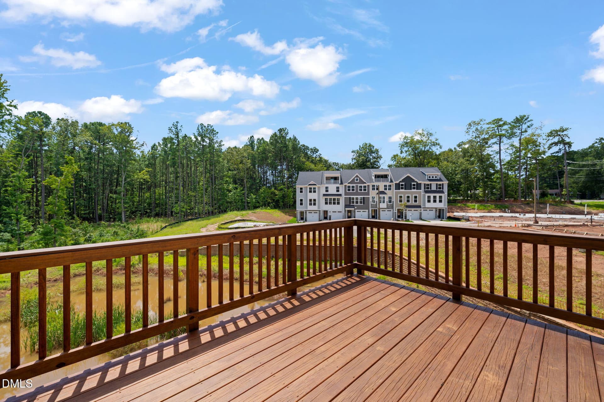 35-web-or-mls-untitled-10 - 1106 Blackthorn Lane, Durham, NC 27703