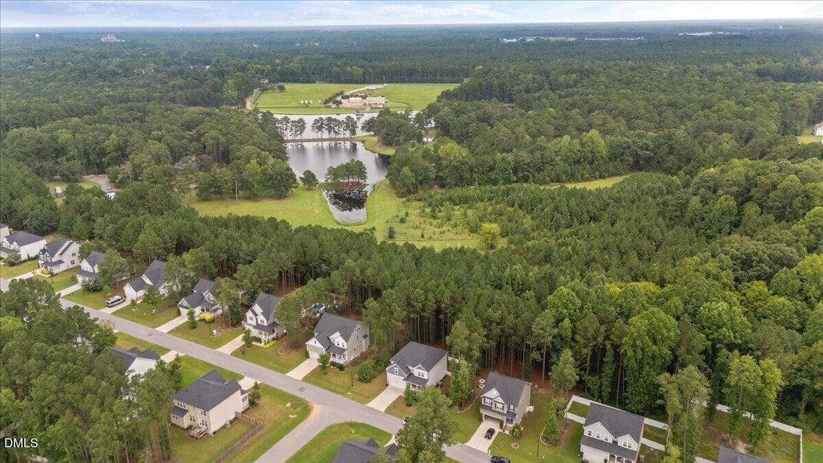 06-DJI_20260803113129_0031_D - 393 Badger Pass Drive, Clayton, NC 27527