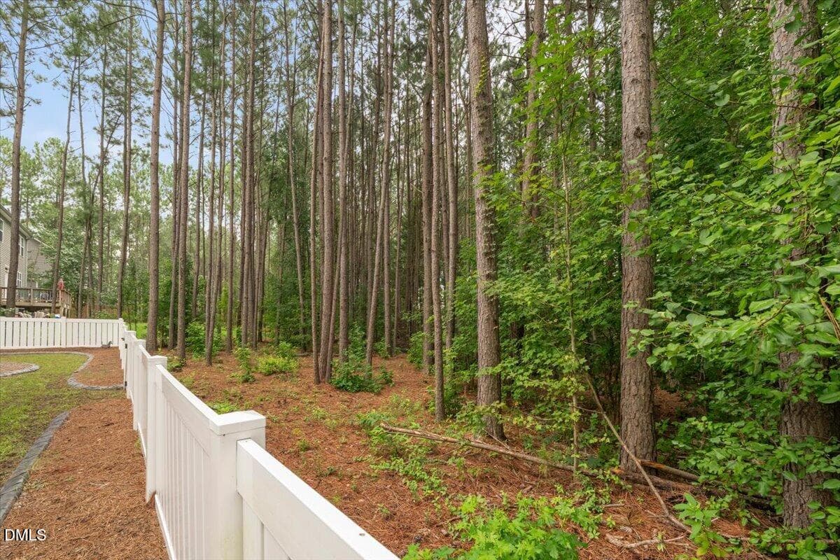 49-P1152556 - 393 Badger Pass Drive, Clayton, NC 27527