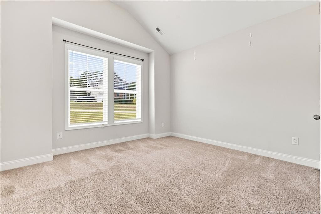 Photo 26 - 116 Hopeland Drive, Lillington, NC 27546