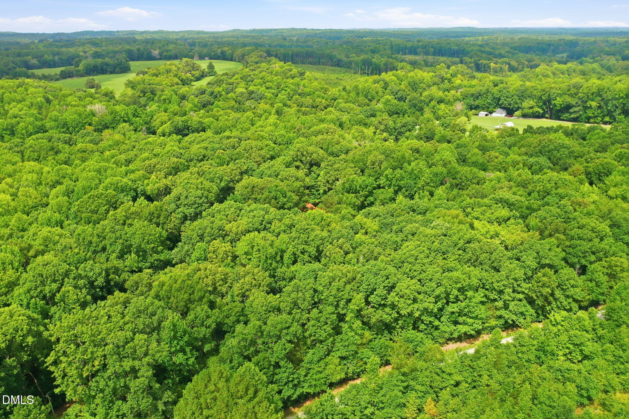 9-web-or-mls-DJI_0263 - 437 Kirkmans Ford Road, Siler City, NC 27344, Siler City