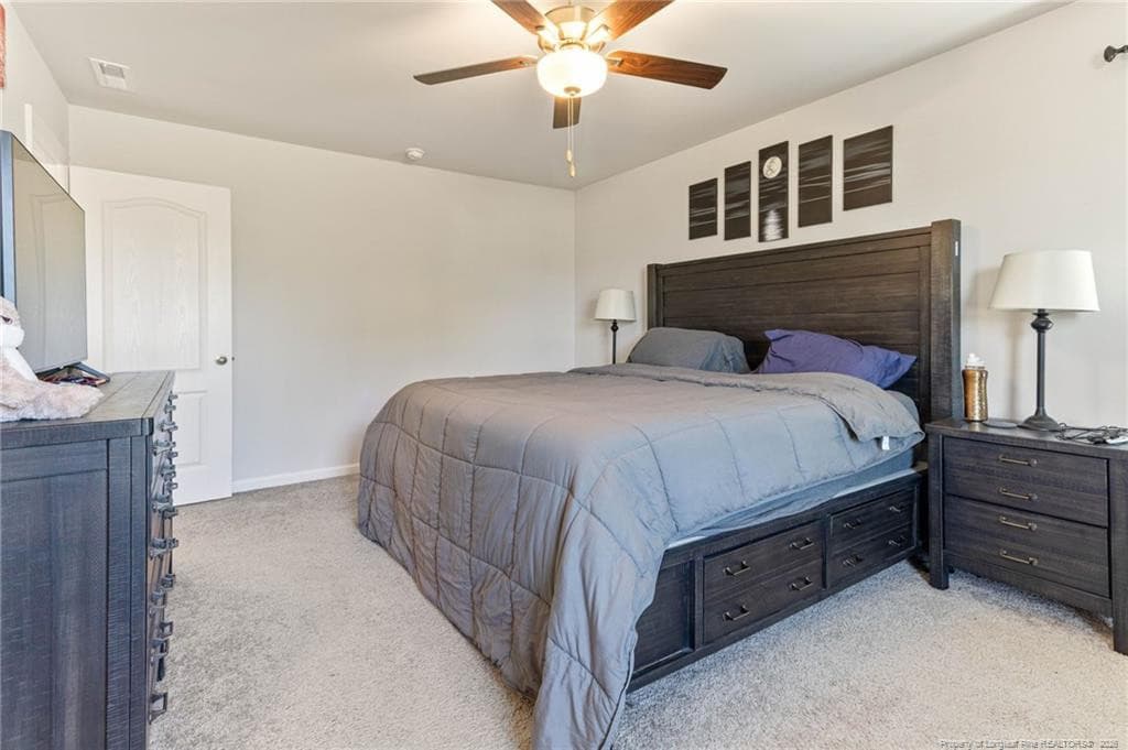 Photo 28 - 195 Bracknell Lane, Raeford, NC 28376