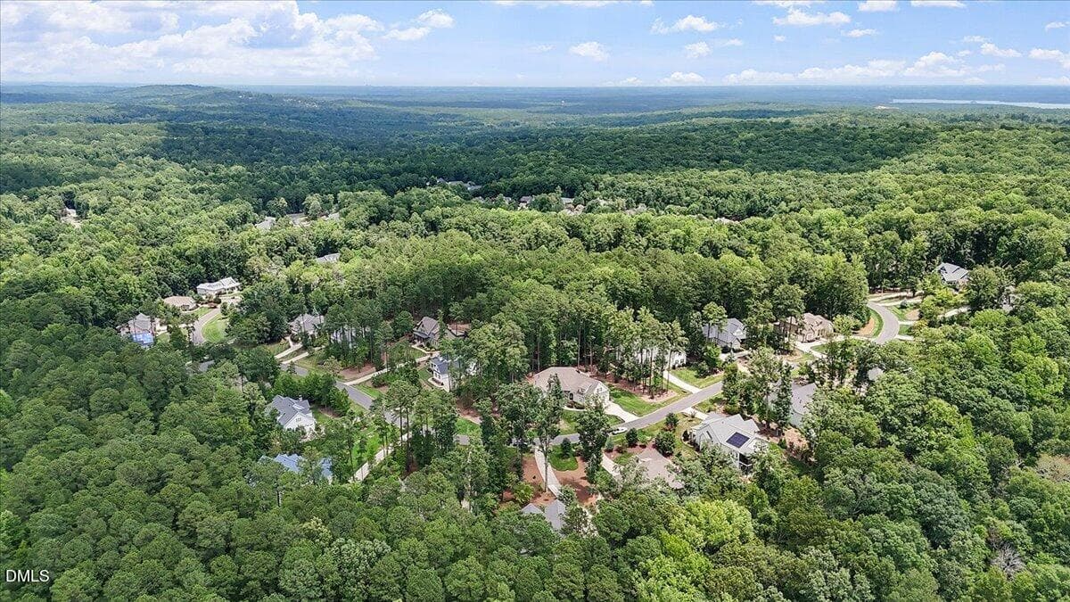 Henderson Place - Drone view - 4235 Henderson Place, Pittsboro, NC 27312