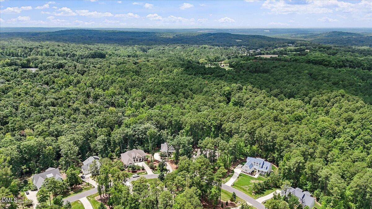 Wooded view - Henderson Place - 4235 Henderson Place, Pittsboro, NC 27312