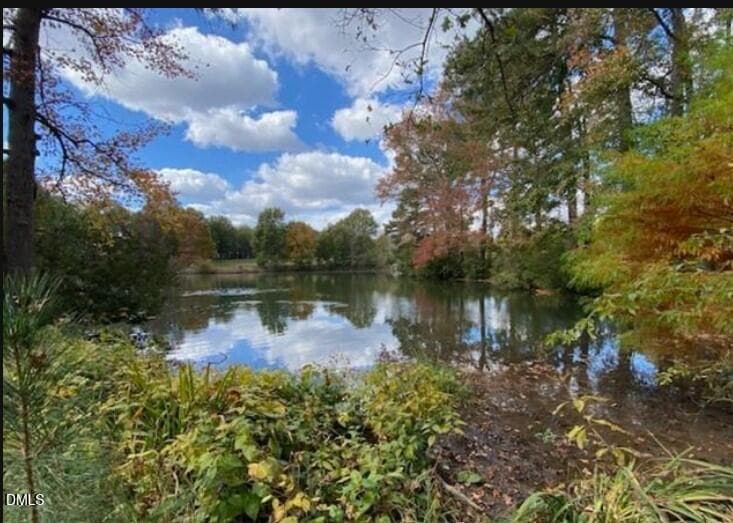 Fearrington Pond - View 2 - 4235 Henderson Place, Pittsboro, NC 27312