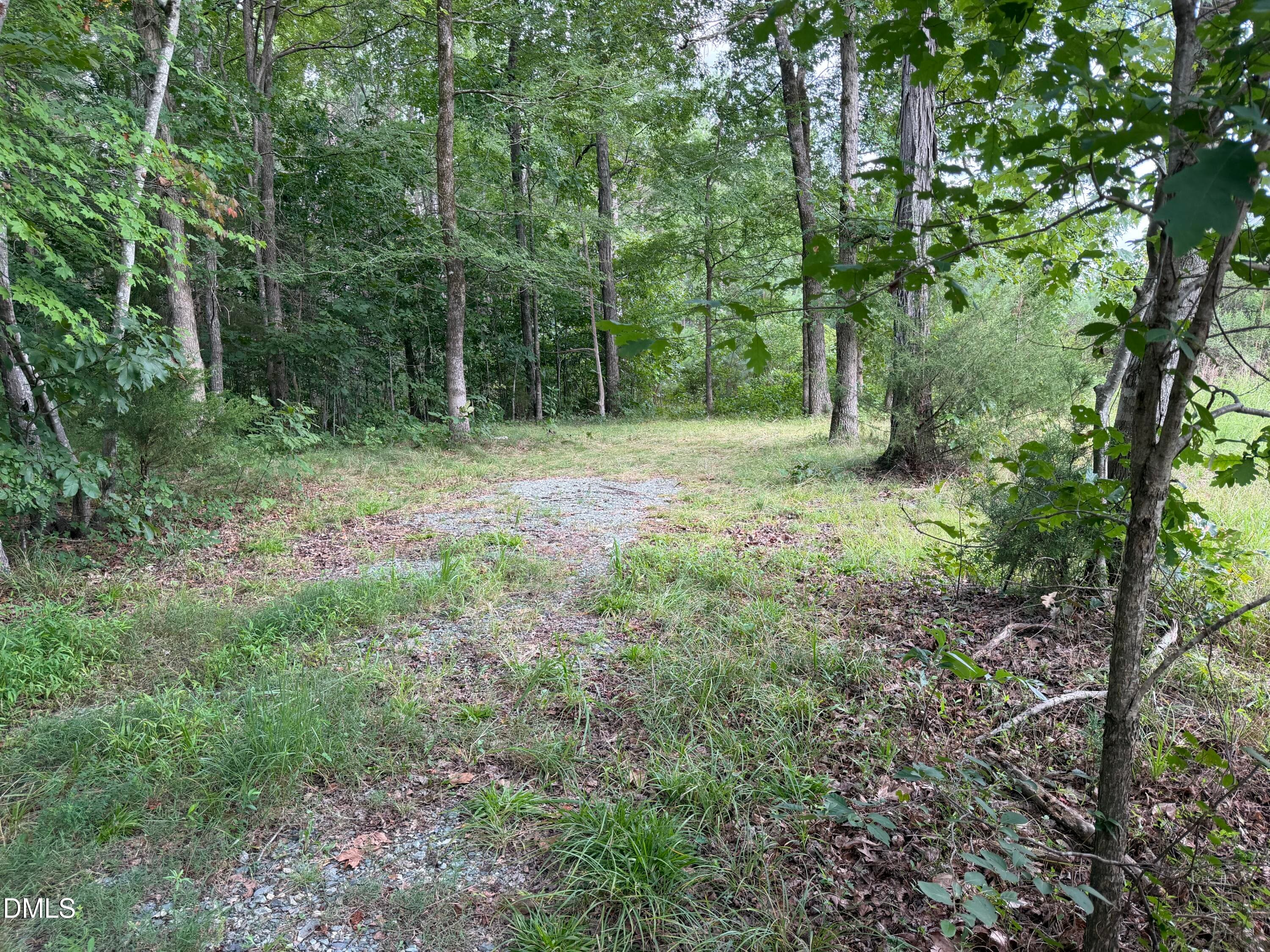 IMG_8906 - 00 Chatham Church Road, Moncure, NC 27559