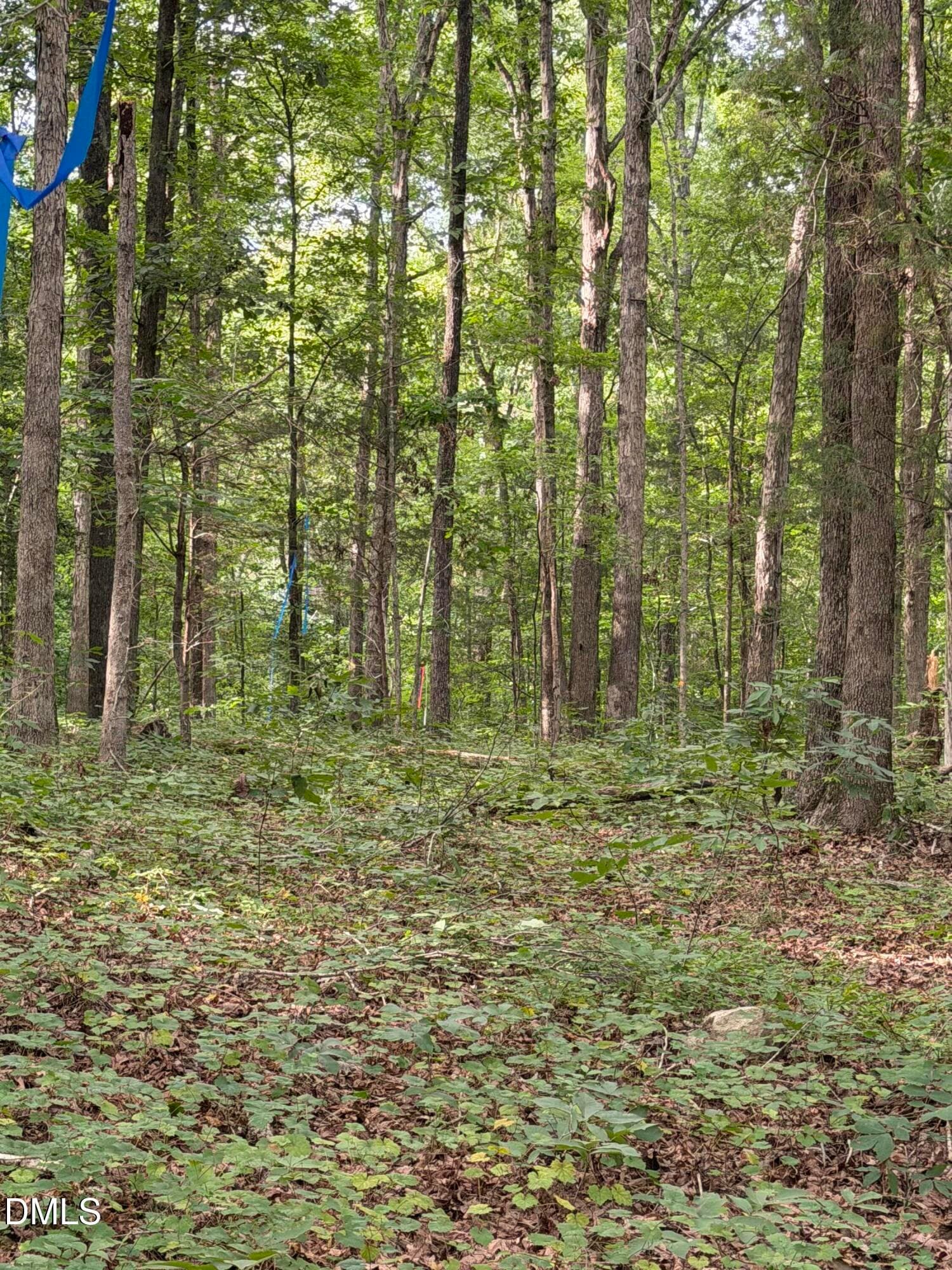 IMG_8914 - 00 Chatham Church Road, Moncure, NC 27559