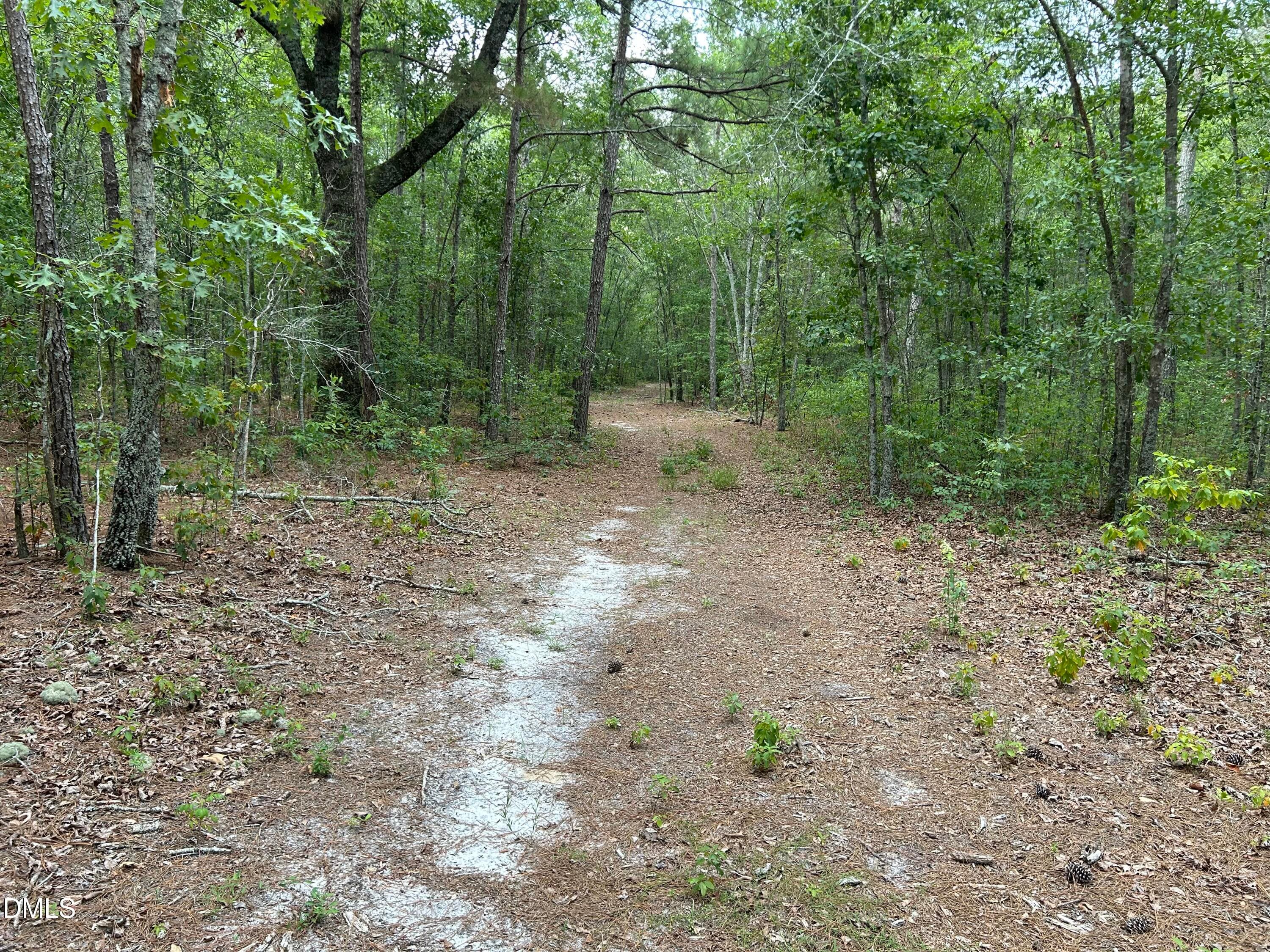 IMG_1332 - 0000 Autrytown Road, Elizabethtown, NC 28337
