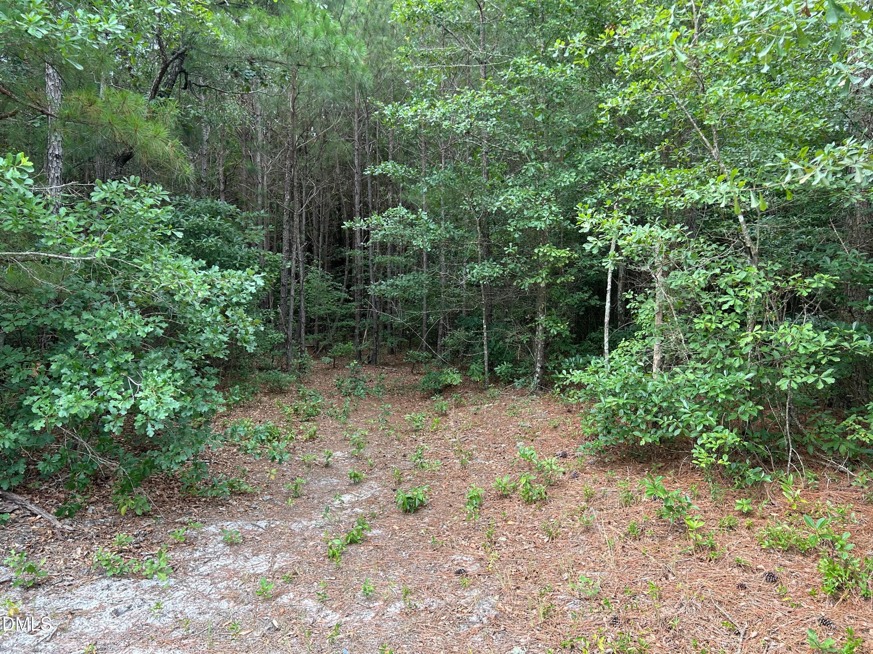 IMG_1329 - 0000 Autrytown Road, Elizabethtown, NC 28337