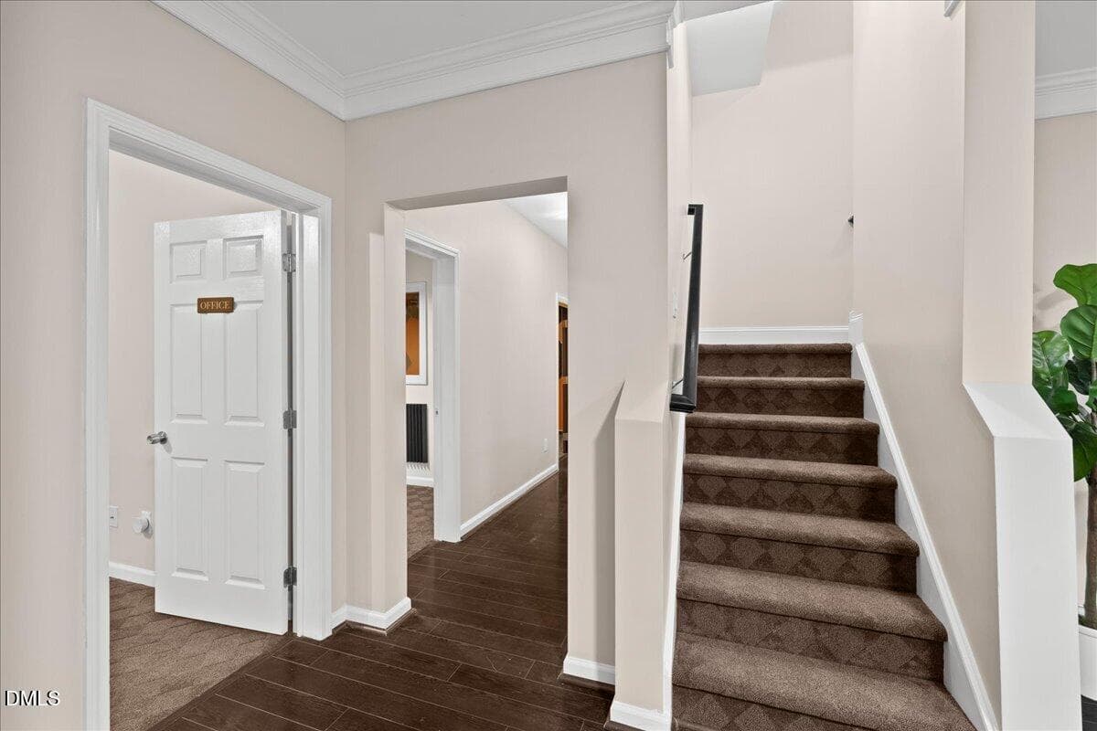 Basement - 12225 Dunard Street, Raleigh, NC 27614, Raleigh