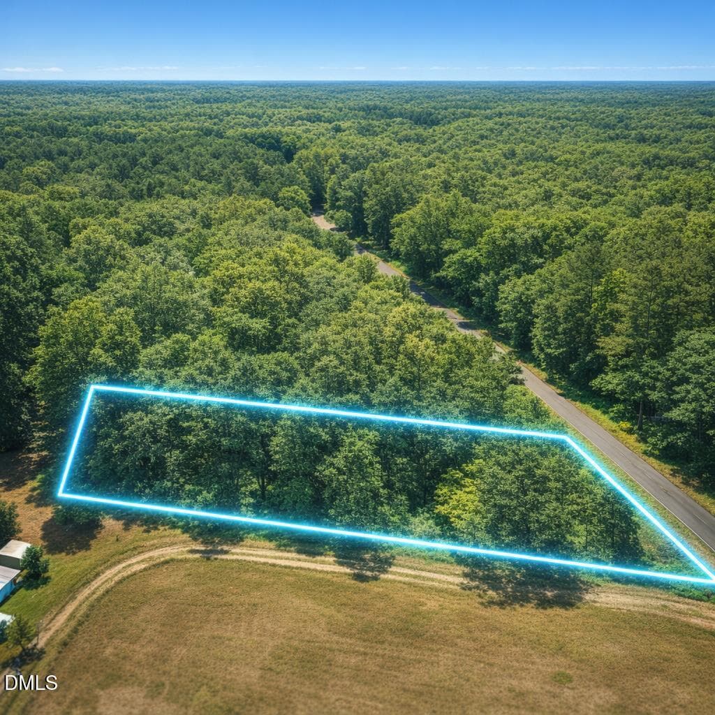 drone-0 - 0 Otis Donnell Nixon Road, Evergreen, NC 28438