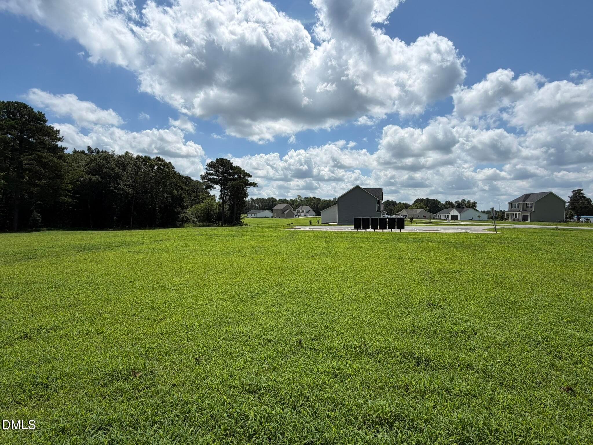 IMG_3939 - 84 Shiloh Drive, Lillington, NC 27546
