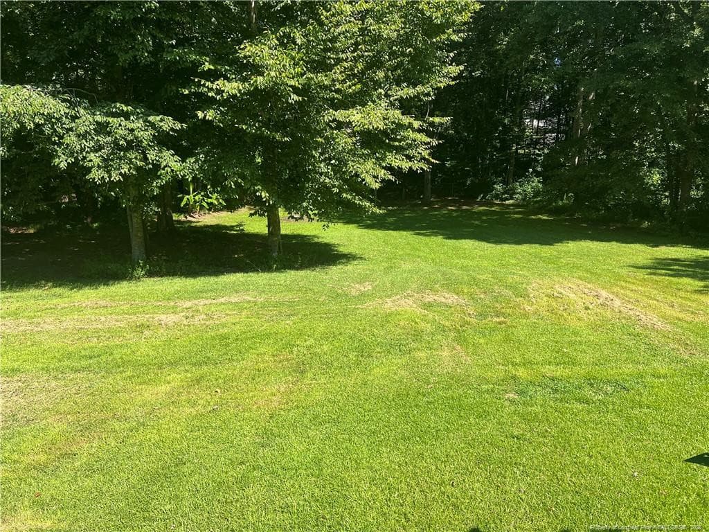 Photo 20 - 150 Peggy Court, Raleigh, NC 27603, Raleigh