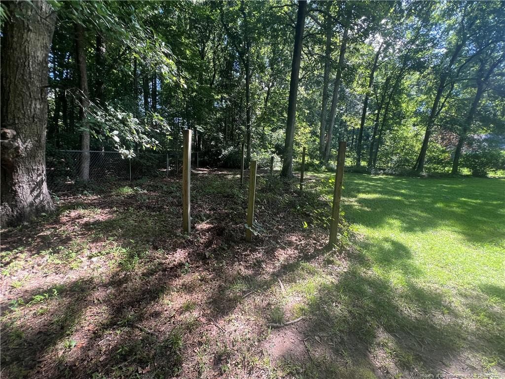 Photo 21 - 150 Peggy Court, Raleigh, NC 27603, Raleigh