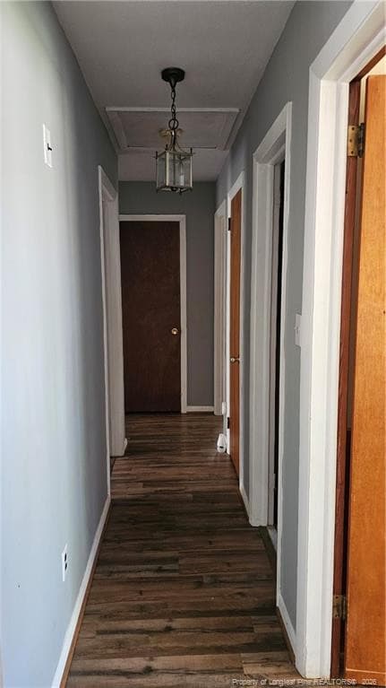 Photo 10 - 3818 Wyatt Street, Fayetteville, NC 28304, Fayetteville