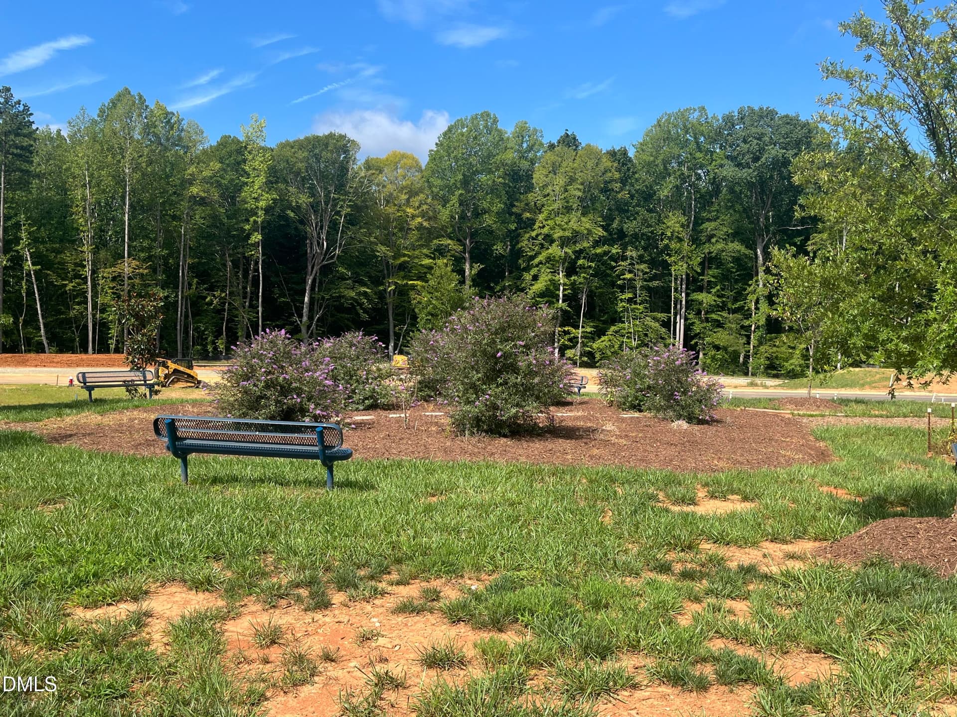 Community green space area - 1315 Hammond Drive, Mebane, NC 27302