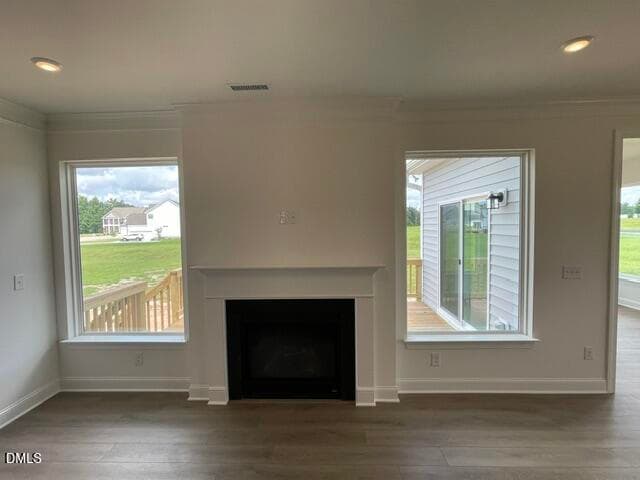 Fireplace - 106 Browning Ml Drive, Wendell, NC 27591