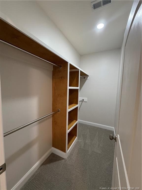 Primary Closet - 605 5th Street, Bladenboro, NC 28320