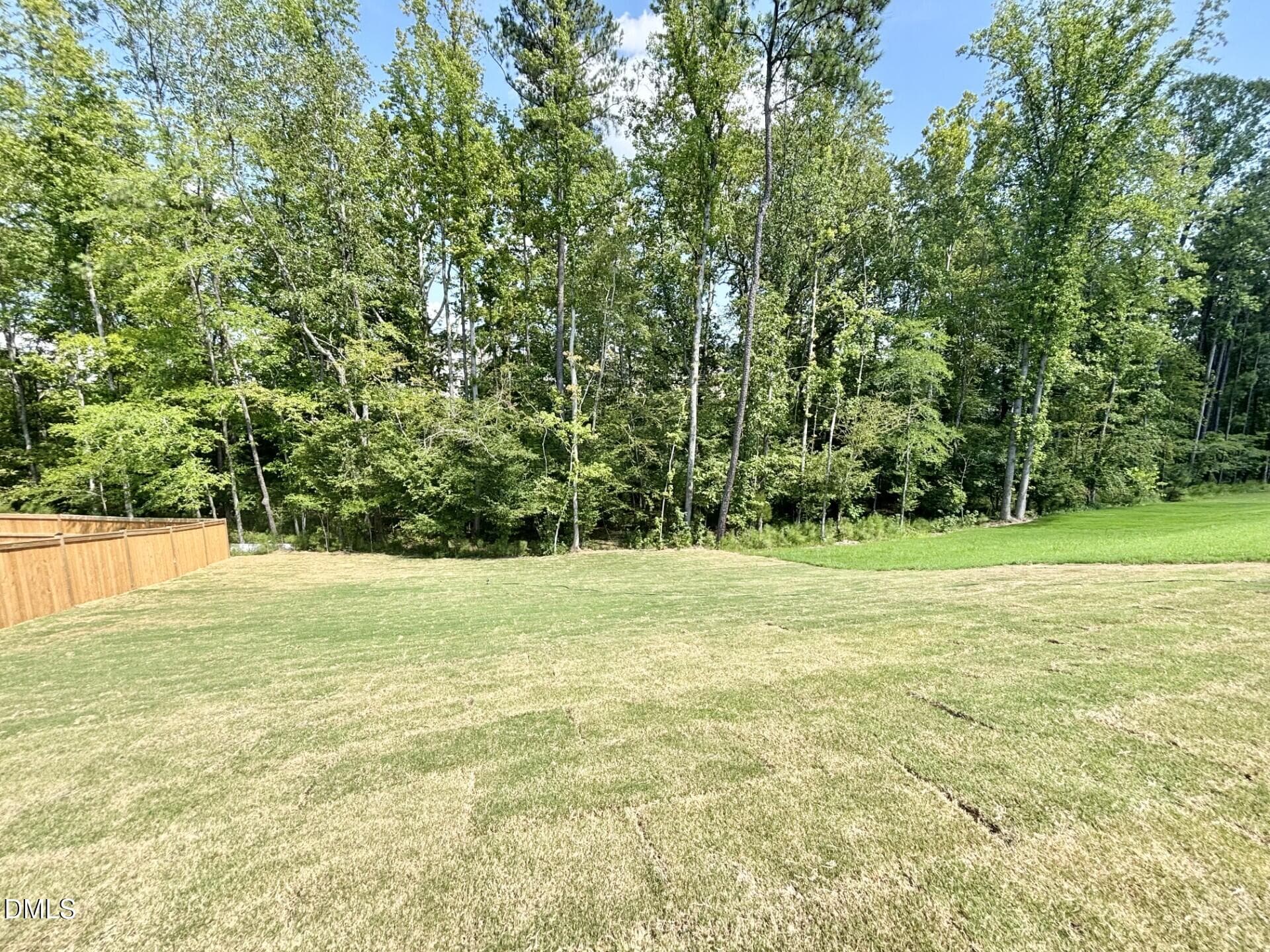 153 Back view - 205 Sugar Pine Drive, Franklinton, NC 27525, Franklinton