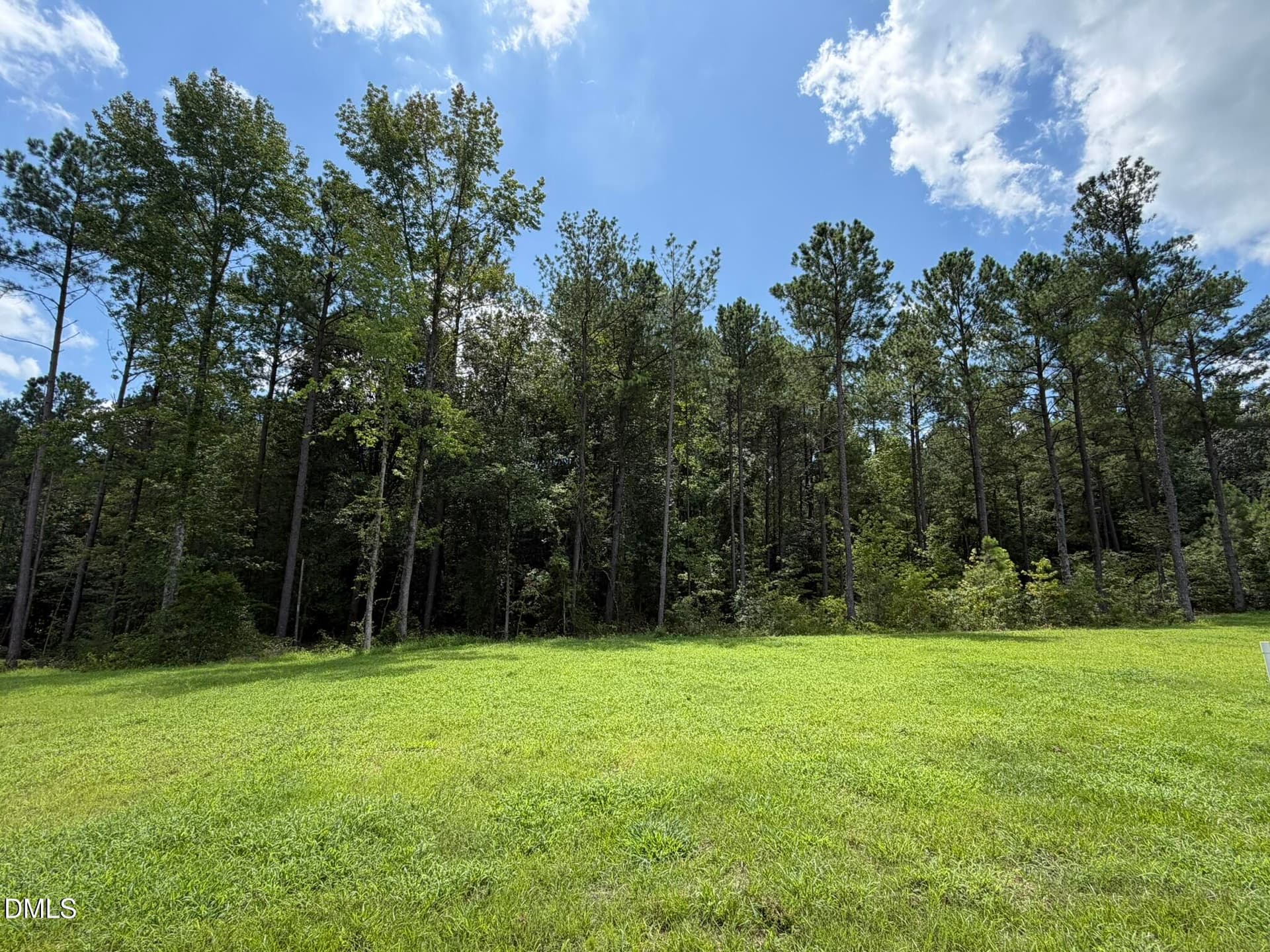 IMG_3987 - 234 Shiloh Drive, Lillington, NC 27546
