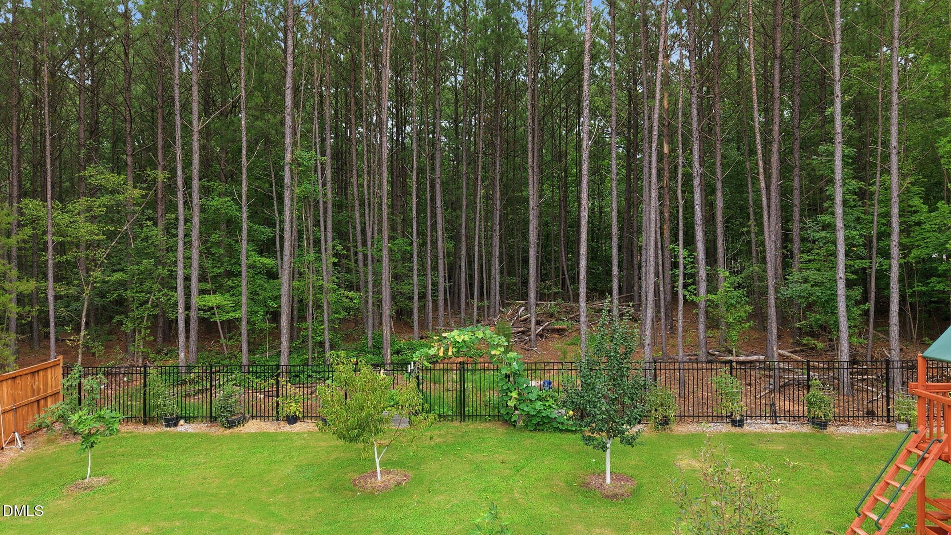 Wooded Tree Buffer - 265 Sorrel Drive, Franklinton, NC 27525