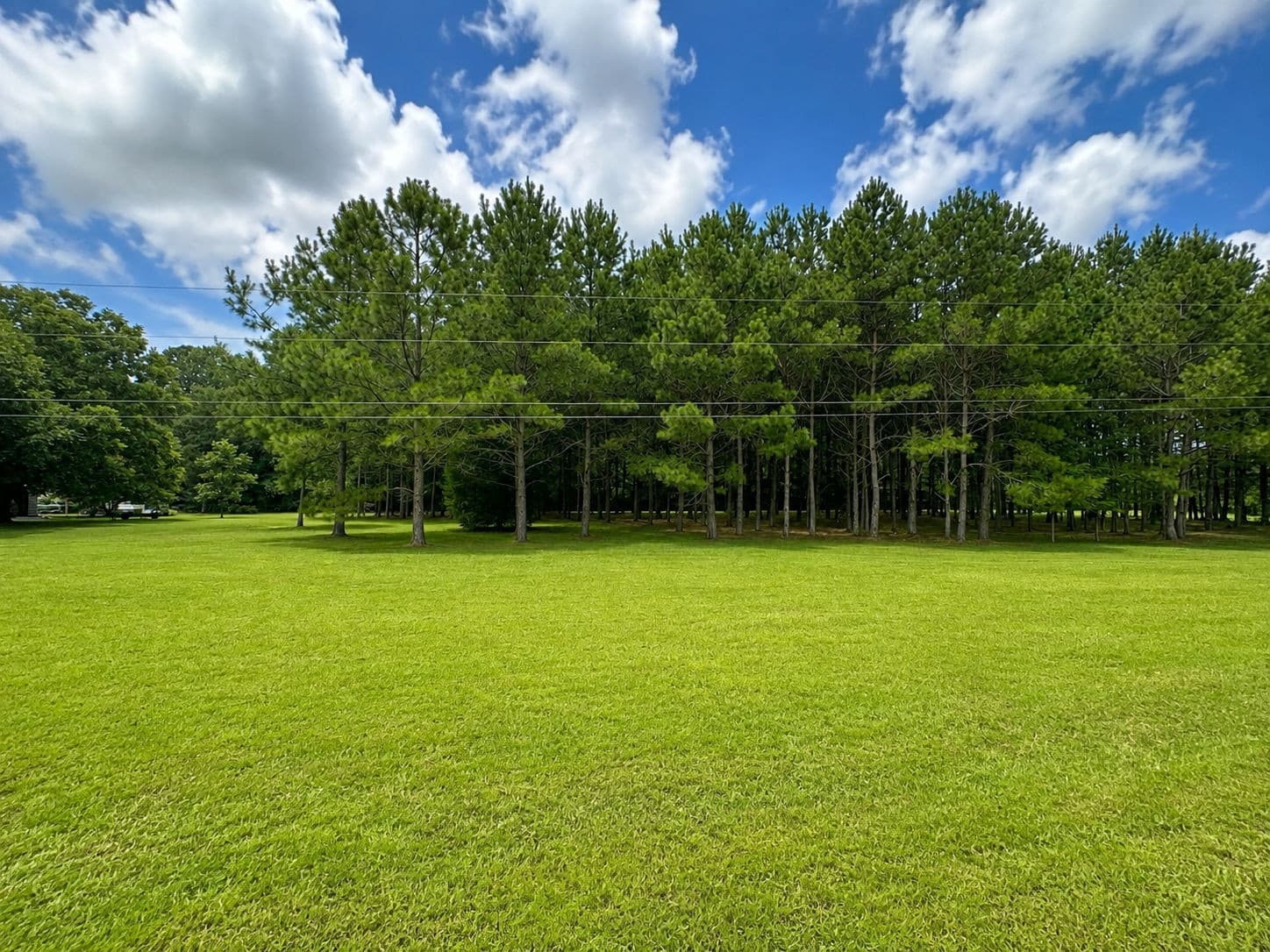895D28BD-6353-45AF-A4D1-F80297A2DD61.png - 28 Bunn Road, Kenly, NC 27542