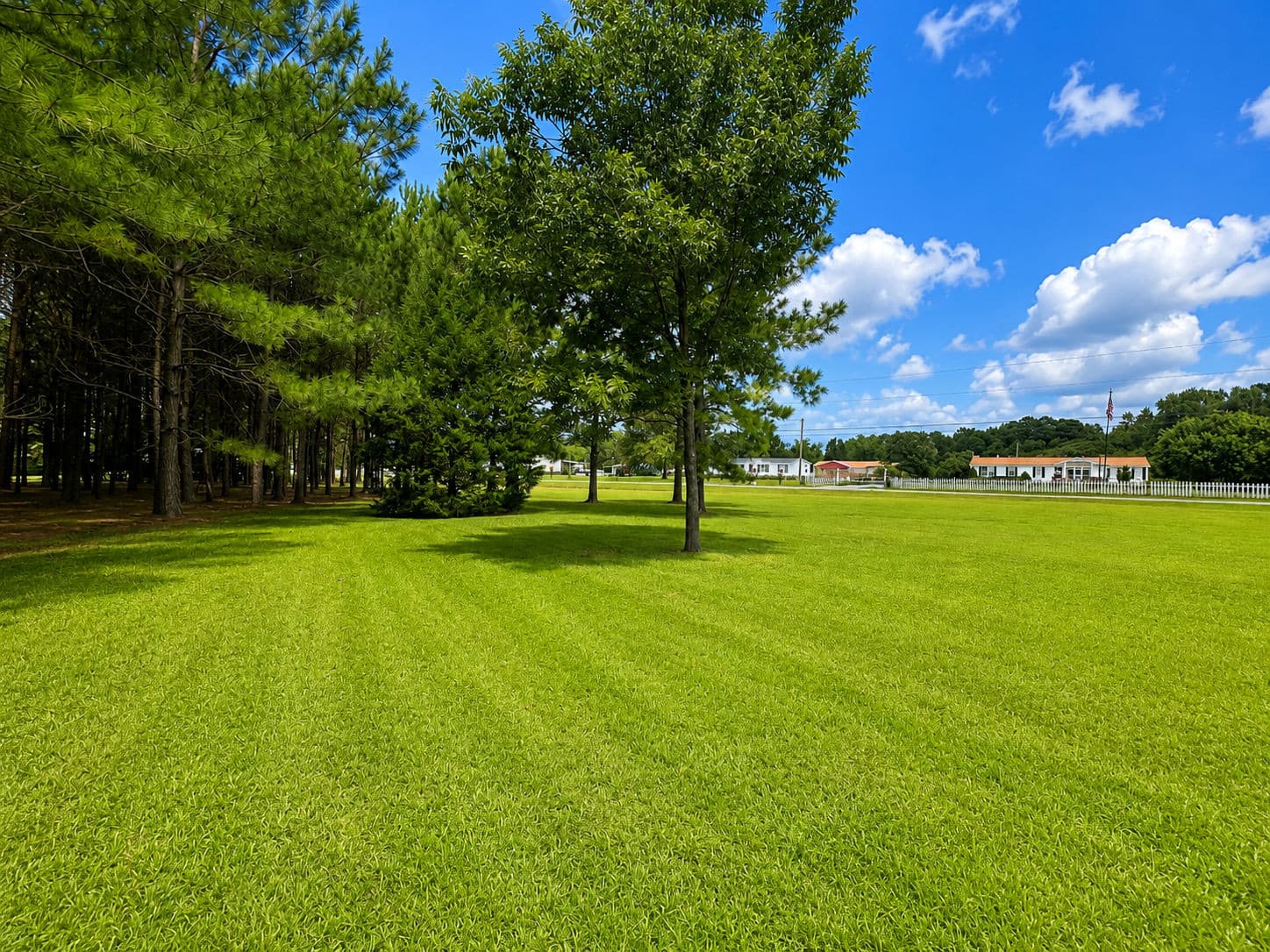 1AAE70E8-C8F2-452D-AAAD-317E7BF1E255.png - 28 Bunn Road, Kenly, NC 27542