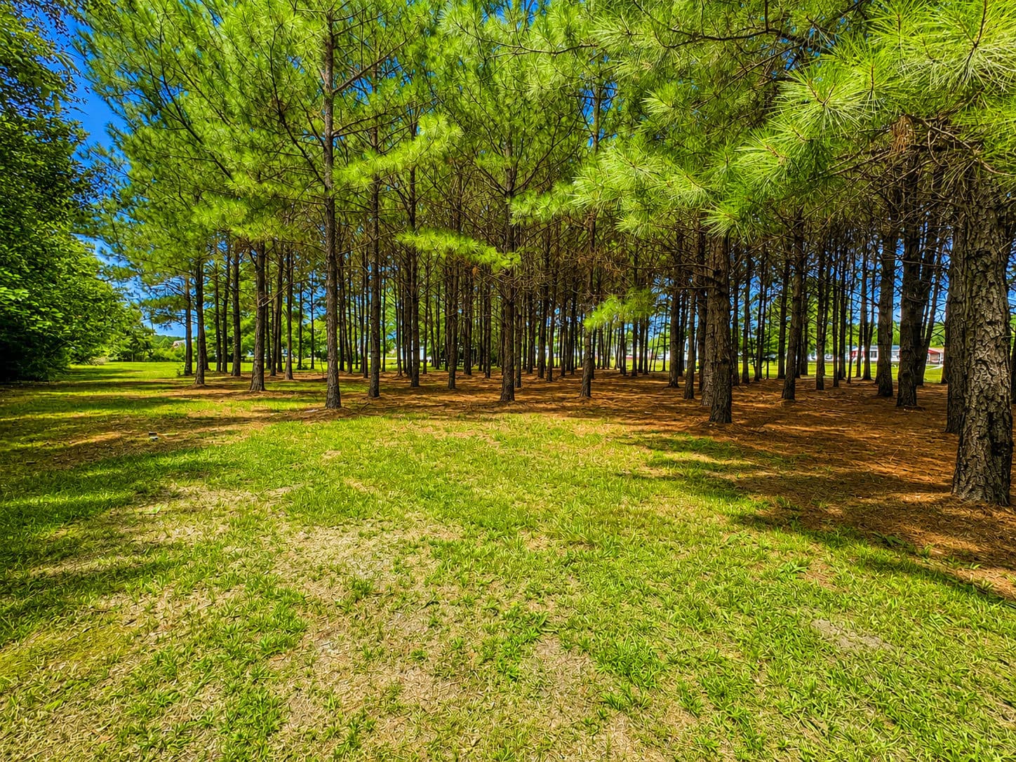 DD781179-78CB-4F09-8AC4-0037250FA5E3.png - 28 Bunn Road, Kenly, NC 27542