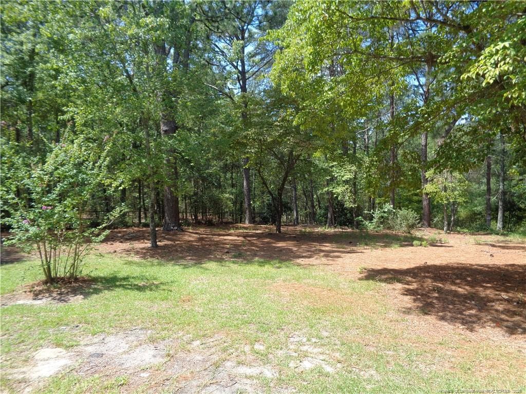 Photo 40 - 303 Archie Road, West End, NC 27376