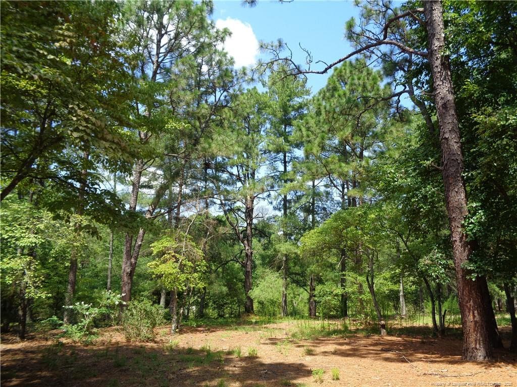 Photo 41 - 303 Archie Road, West End, NC 27376