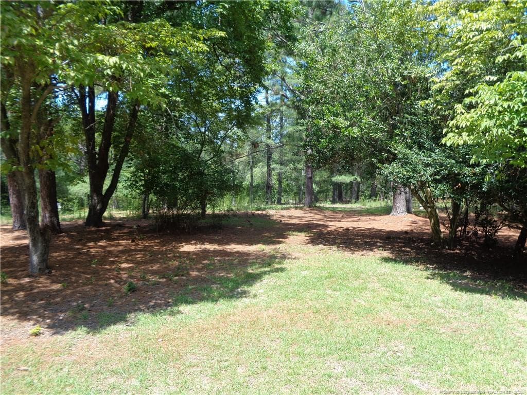 Photo 39 - 303 Archie Road, West End, NC 27376