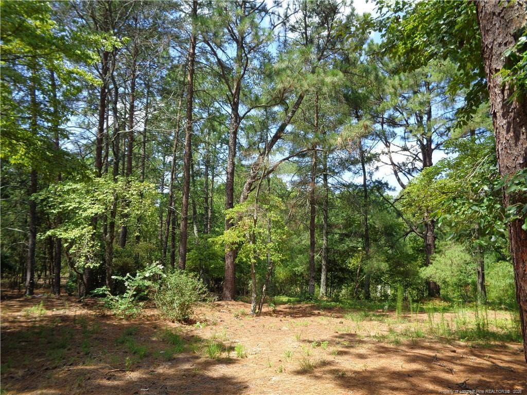 Photo 42 - 303 Archie Road, West End, NC 27376