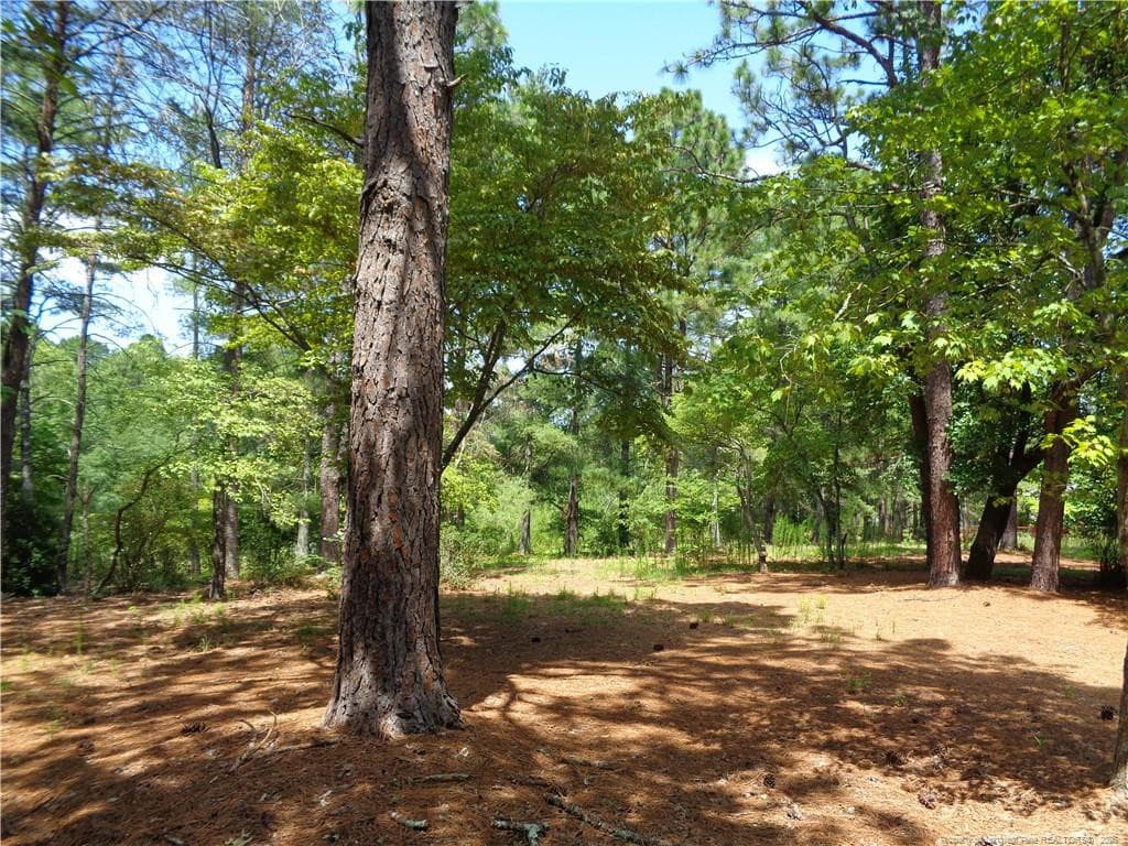 Photo 43 - 303 Archie Road, West End, NC 27376