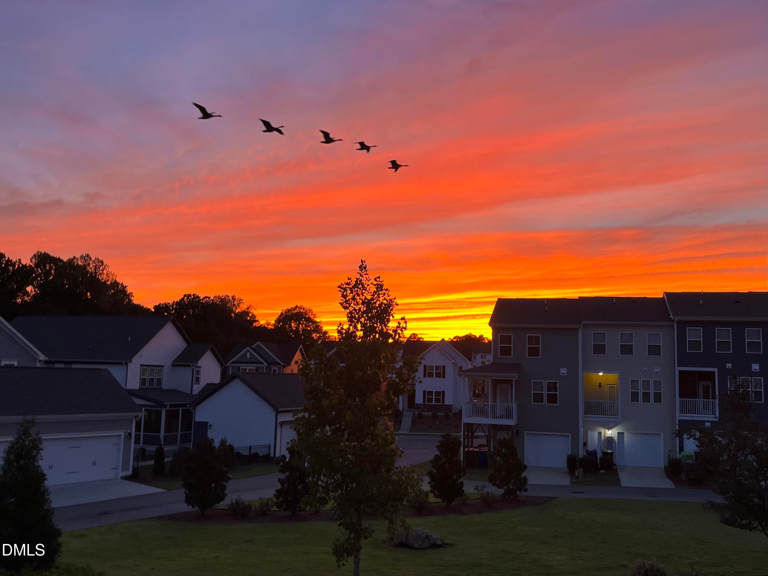 8. Sunset (2) - 6441 Giddings Street, Raleigh, NC 27616, Raleigh