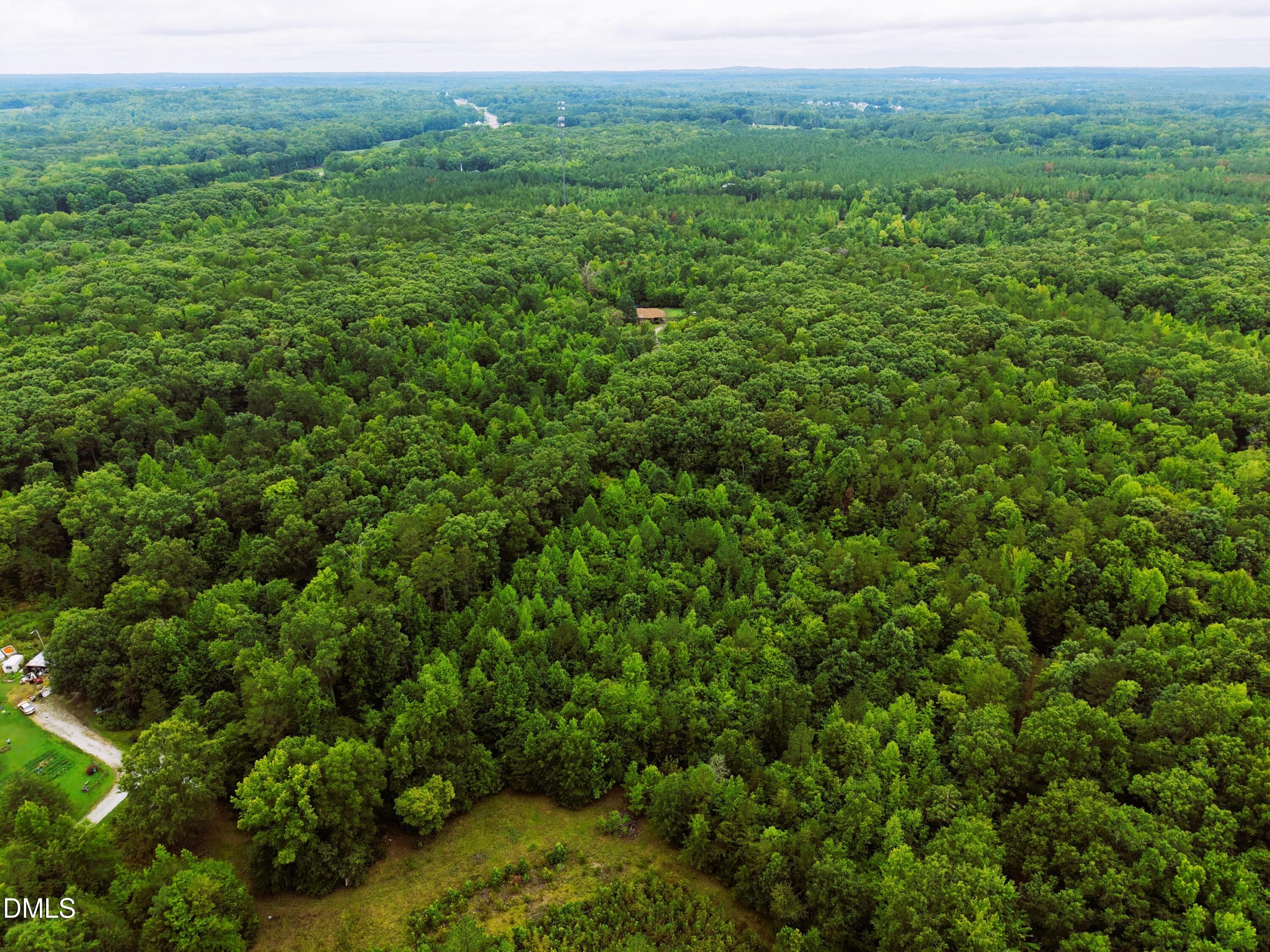 0 Weldon Painter Road, Timberlake, NC 27583