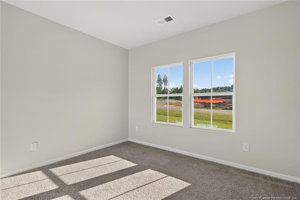 Photo 11 - 211 Phoenix Drive, Bunnlevel, NC 28323