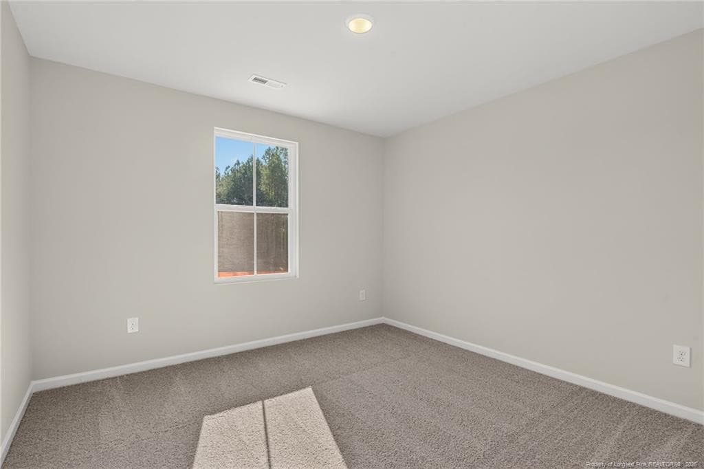 Photo 26 - 211 Phoenix Drive, Bunnlevel, NC 28323
