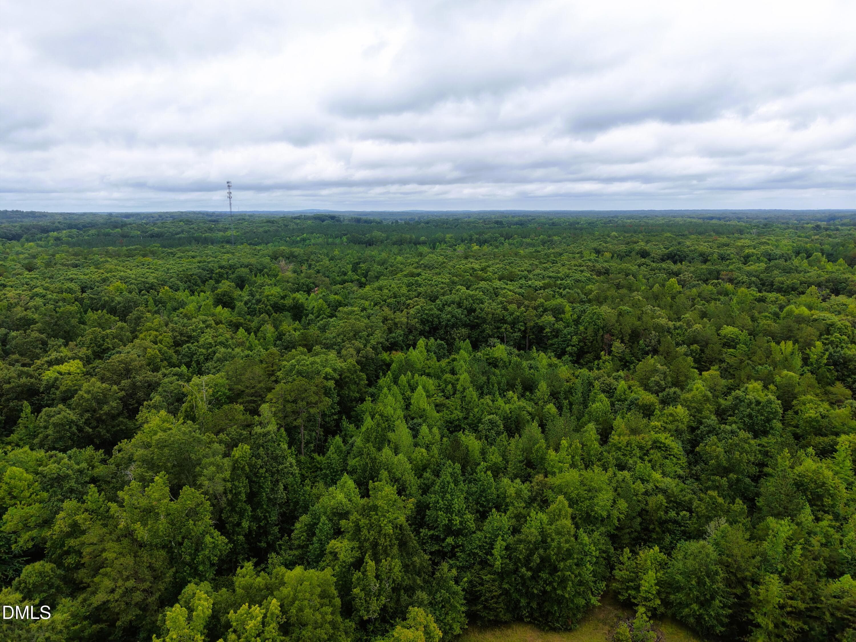 Aerial 2 weldon - 0 Weldon Painter Road, Timberlake, NC 27583