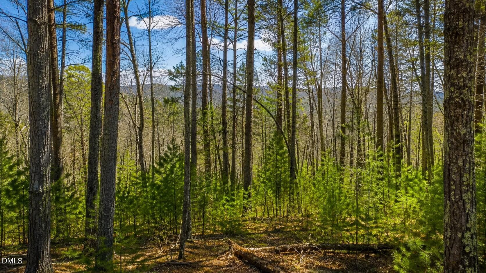 Mature Trees on the Lot - Lt. 74 Sutters Ridge Road, Mulberry, NC 28659
