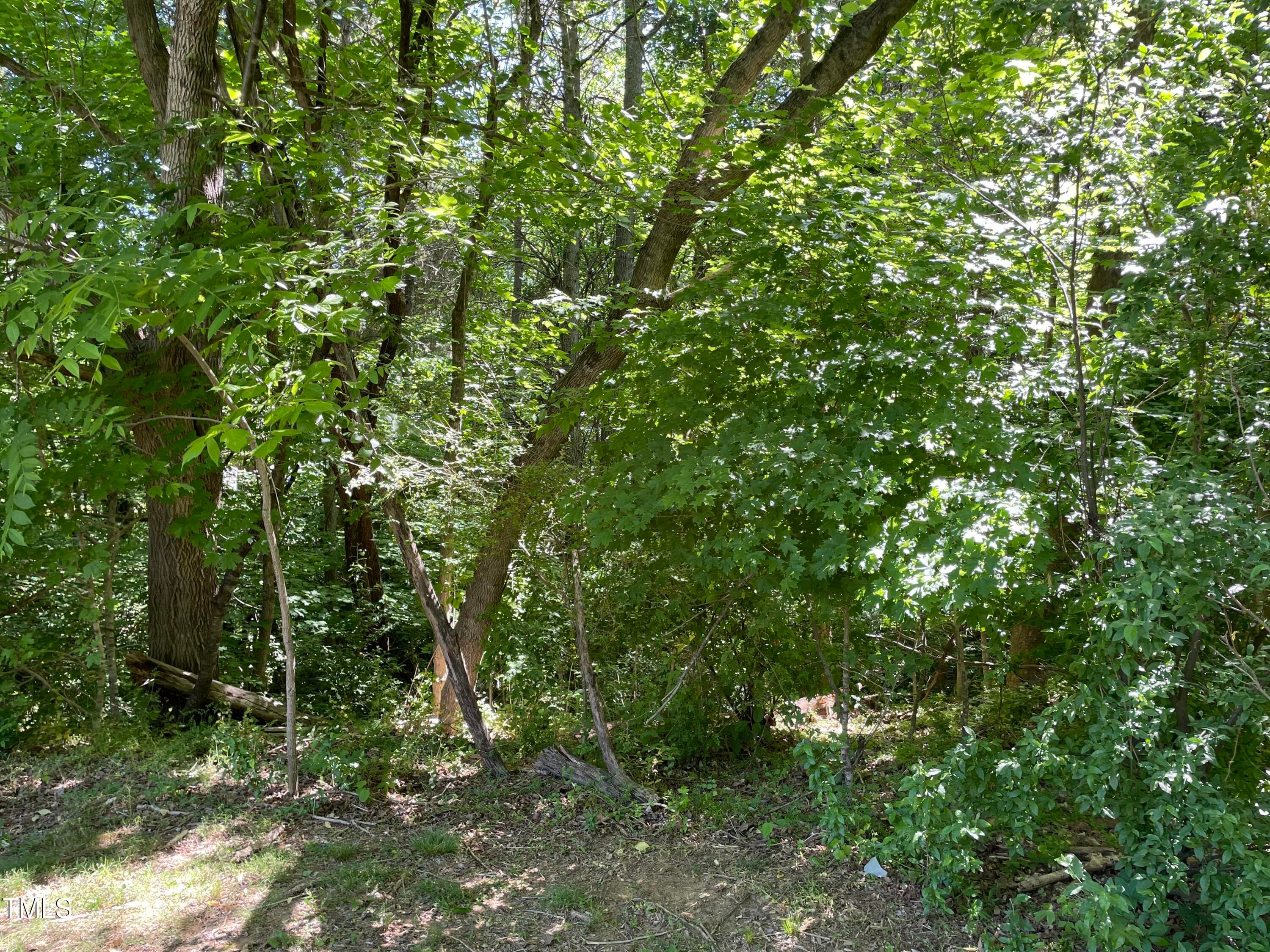 IMG_2005 - 39 Thompson Road, Graham, NC 27253