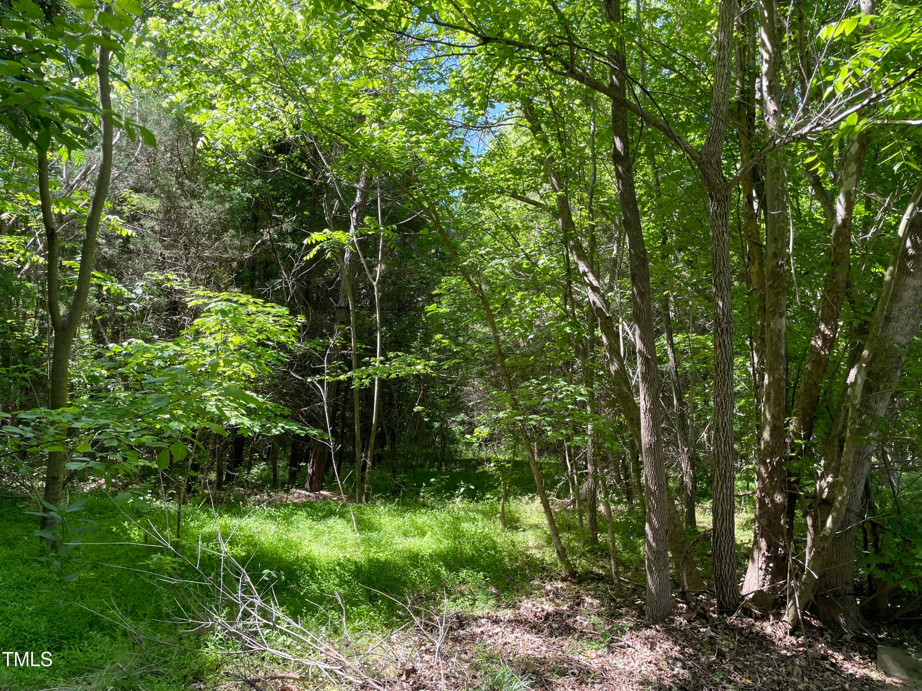 IMG_2004 - 39 Thompson Road, Graham, NC 27253